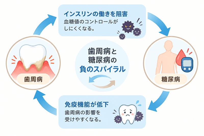糖尿病と歯周病の相互関係
